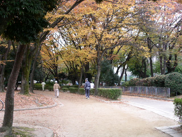 c0152507_11445182.jpg