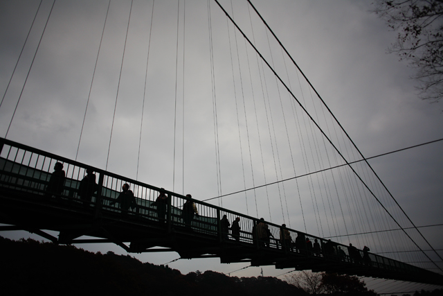 a0008508_217768.jpg