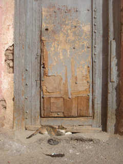 d0126508_3173691.jpg