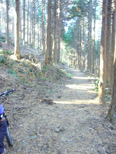 e0015108_8145732.jpg