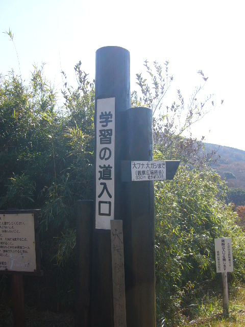 e0015108_843285.jpg