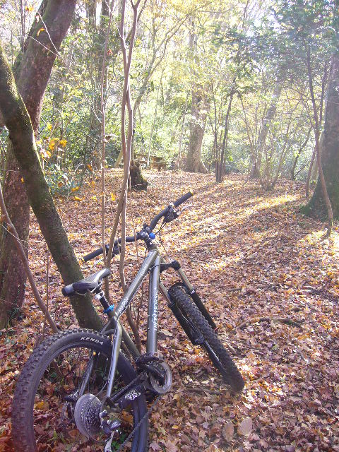 e0015108_882860.jpg