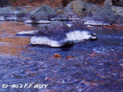 f0137709_13471722.jpg