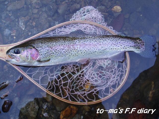 f0137709_1420569.jpg
