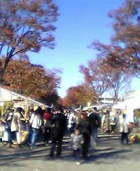 f0143412_1135865.jpg