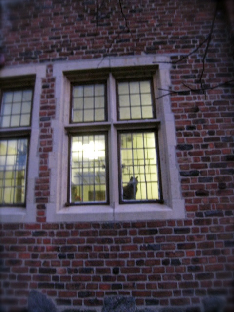 c0120817_22104530.jpg