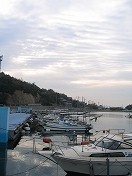 b0062019_13211661.jpg