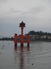 d0049221_1735874.jpg
