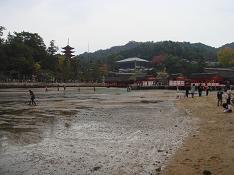 d0049221_1736191.jpg