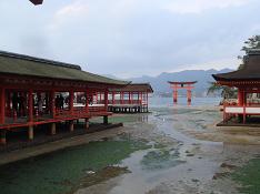 d0049221_17422821.jpg