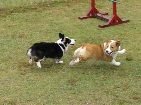 c0018722_23355848.jpg