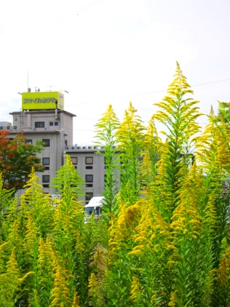 c0124322_16514392.jpg