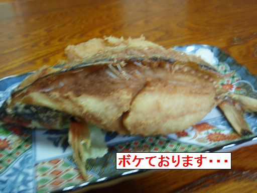 e0086522_10394961.jpg