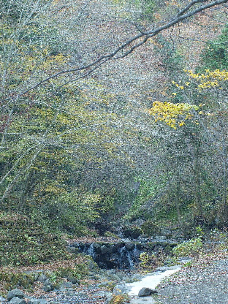b0137723_16483473.jpg