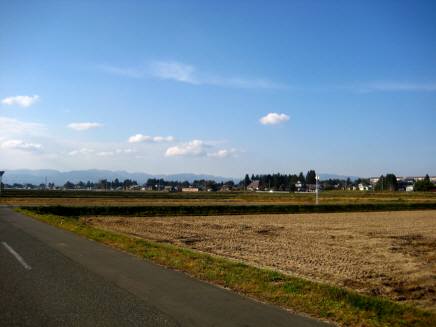 e0078125_1735108.jpg