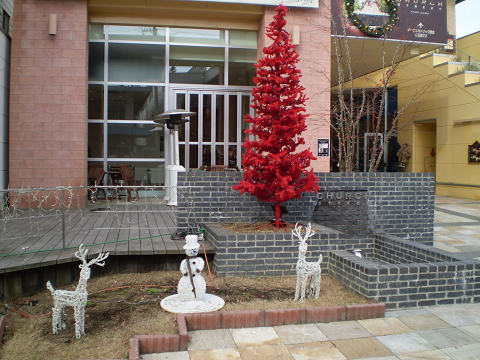 d0046531_152242100.jpg