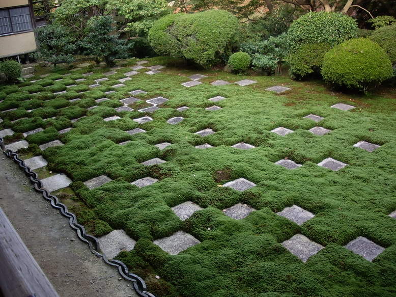 b0011334_2329494.jpg