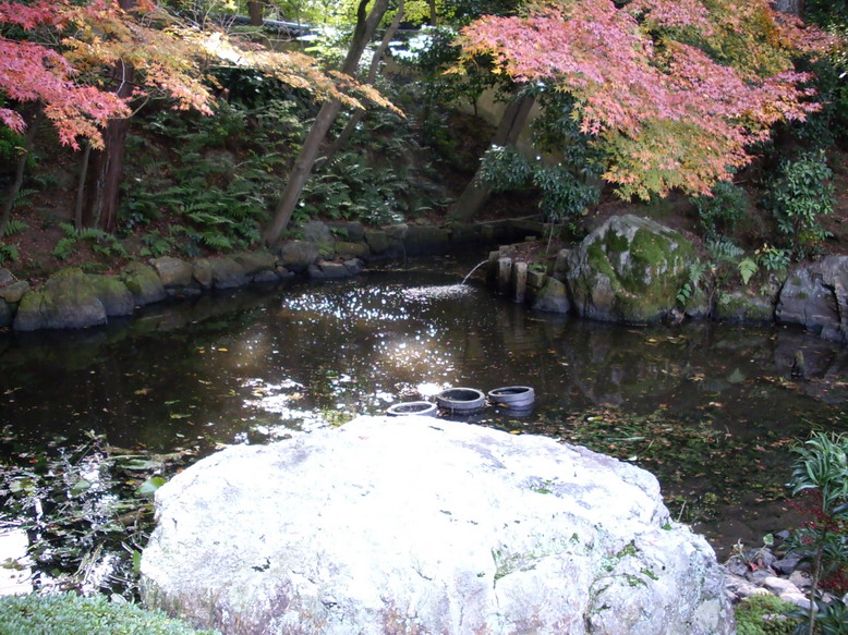 b0011334_2339254.jpg