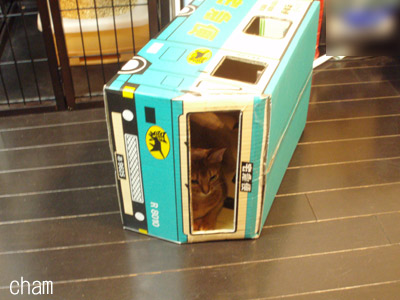 c0132438_155185.jpg