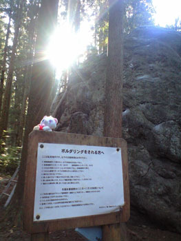 d0107938_206242.jpg