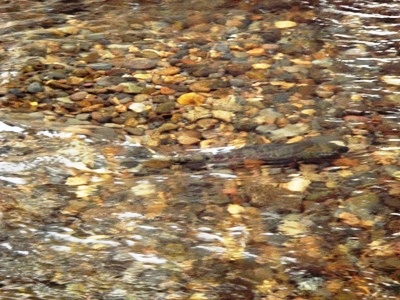 e0119840_20222969.jpg