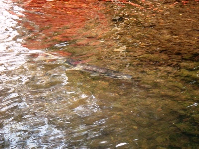 e0119840_20283418.jpg