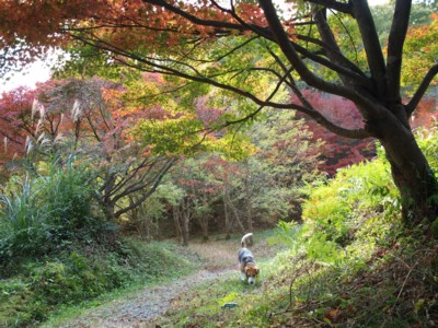 c0119142_1738664.jpg