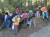f0169942_11151693.jpg