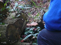 f0169942_11175863.jpg