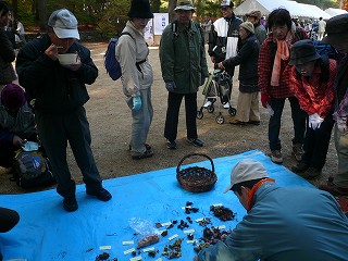 f0169942_11303630.jpg