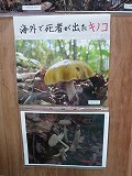 f0169942_202211.jpg