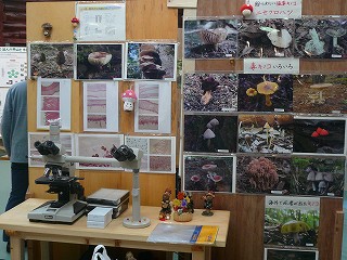 f0169942_20261668.jpg