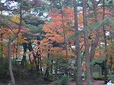 f0169942_8552521.jpg
