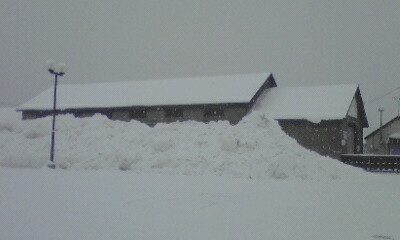 a0028444_10544328.jpg