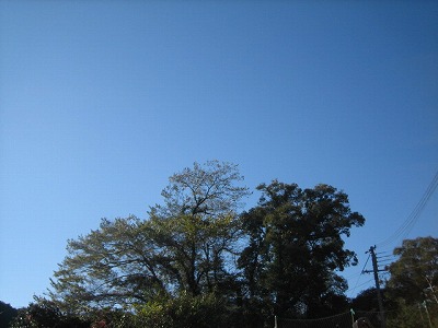 a0054948_11402914.jpg