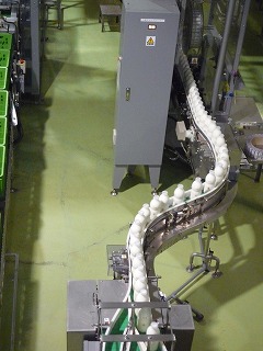 a0008549_2282680.jpg