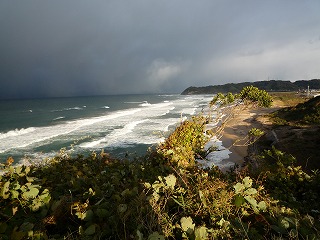 a0008549_2365172.jpg