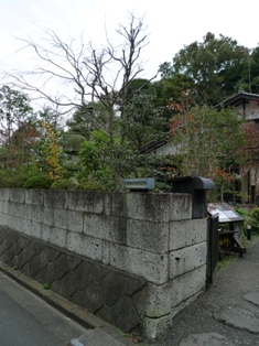 a0094449_17551575.jpg