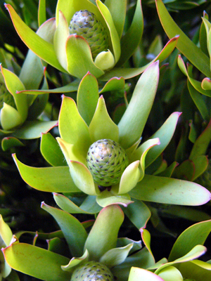 a0074650_01114.jpg