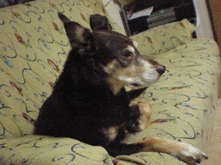 d0006253_15304838.jpg