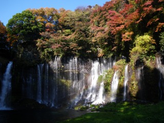 d0146153_1563548.jpg