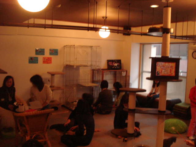 f0132565_111393.jpg