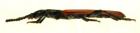 b0130166_1472423.jpg