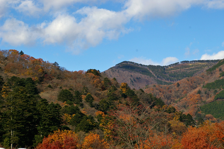 c0032567_15555184.jpg