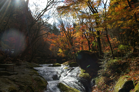 c0032567_1795032.jpg