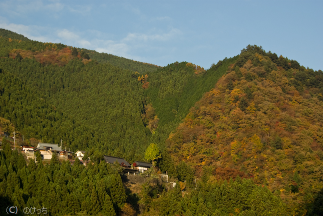 b0136768_13301792.jpg