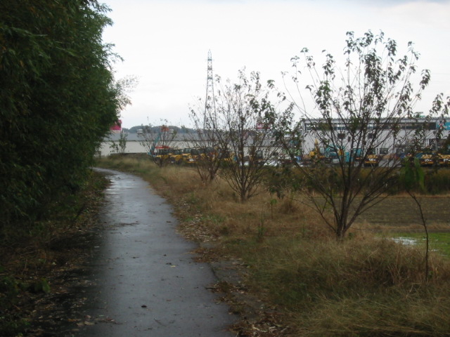 d0094868_12395365.jpg