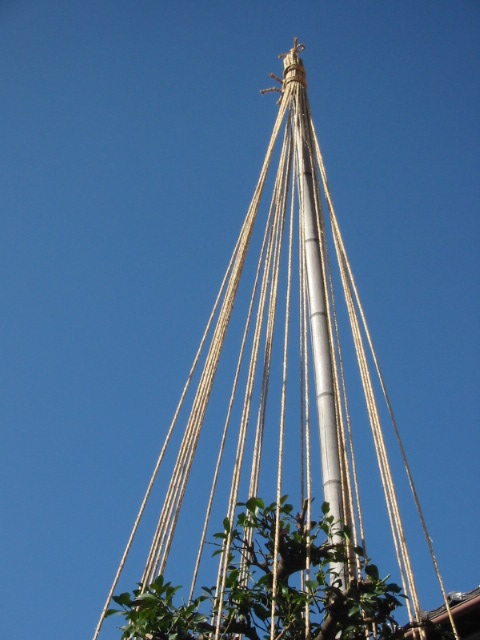 d0094868_15383739.jpg