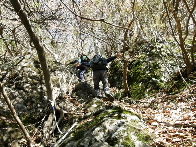 c0042869_1358890.jpg