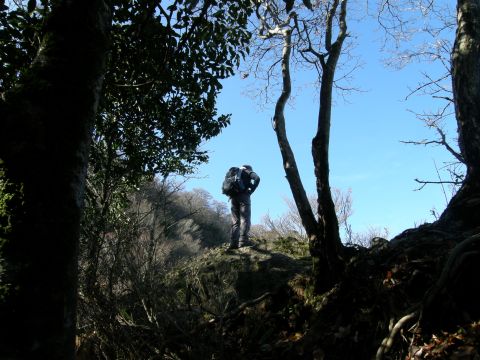 c0042869_14104754.jpg